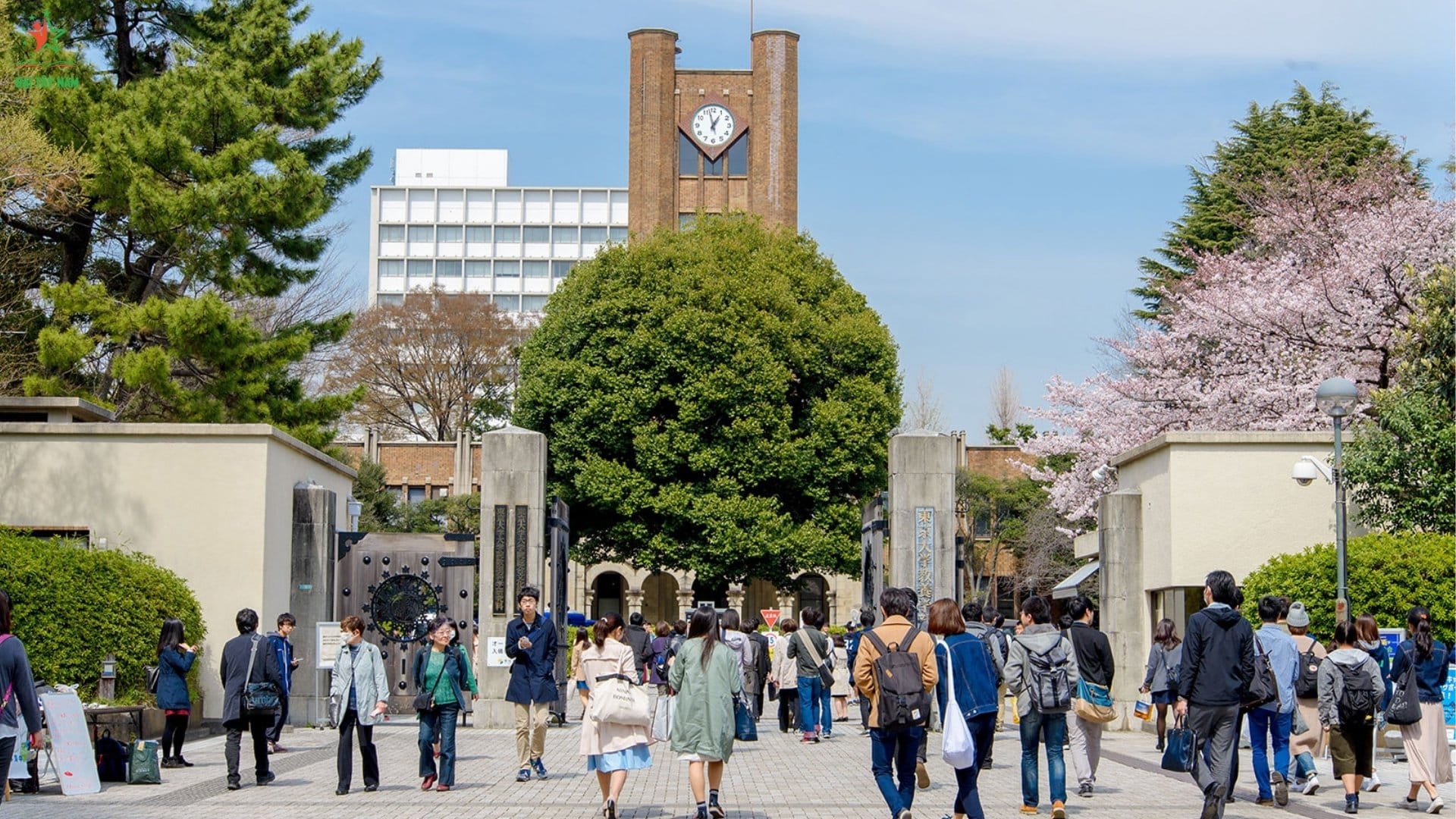 Danh Sách Các Trường Du Học Tại Nhật Bản Chất Lượng Cao