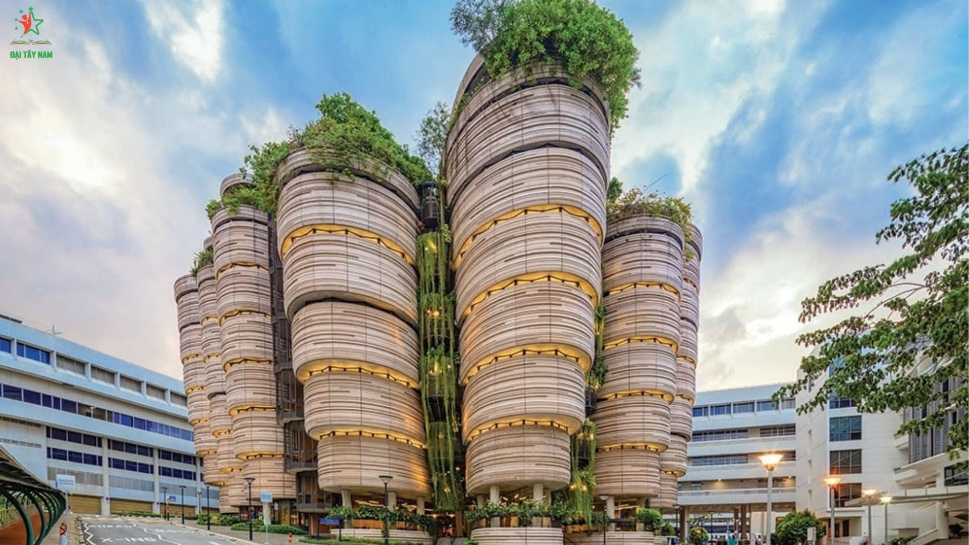 Đại học Singapore đẳng cấp thế giới