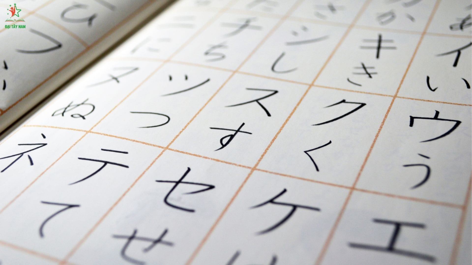 Ngữ Pháp Tiếng Nhật – Đại Tây Nam